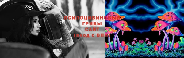 2c-b Аркадак